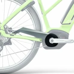 Centurion Kettenschutz Curana E-FIRE Tour R850 Vintage Grün 2018