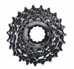 XLC Zahnkranz-Kassette 8-fach 12-13-14-15-17-19-21-23 Campa